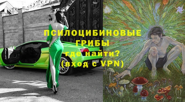 метадон Инта