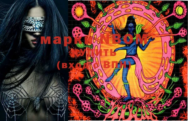 метадон Инта